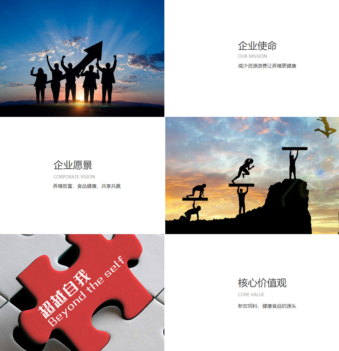 9393体育官网登录(图1)